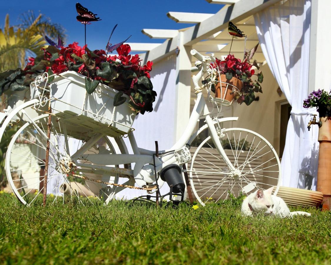 Appartement Oasi Siciliana à Terrasini Extérieur photo